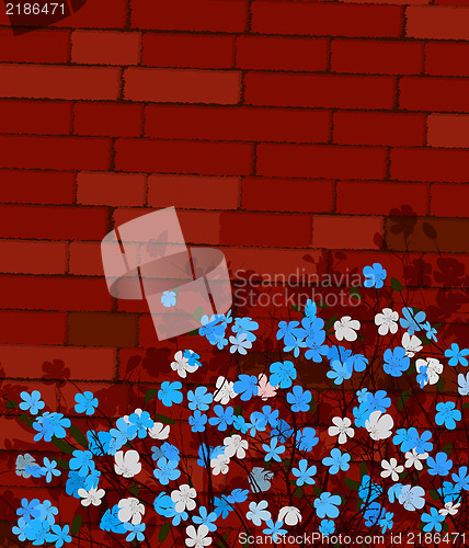 Image of Blue flowers on a wall