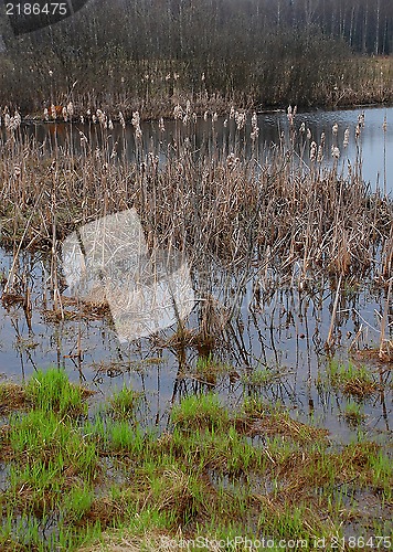 Image of Early Spring Flood