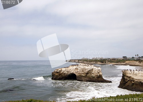 Image of Big Sur