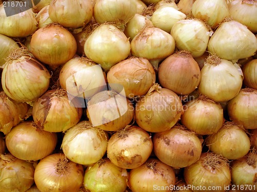 Image of onion background