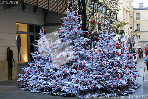 Image of Christmas tree on the streets of Paris