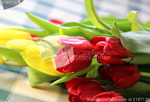 Image of Tulips 