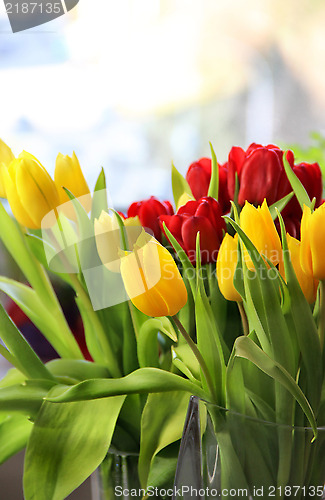 Image of Tulips 