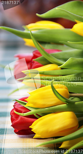 Image of Tulips 