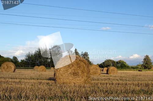 Image of straw bales agriculture field blue cloudy sky 