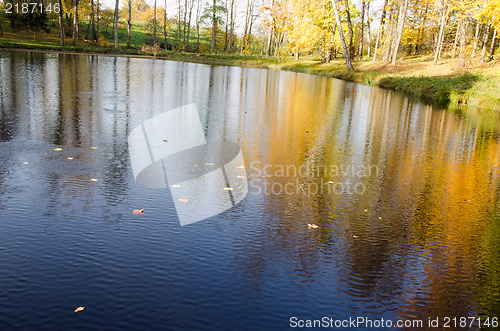 Image of autumn leaves lake water colorful tree reflections 