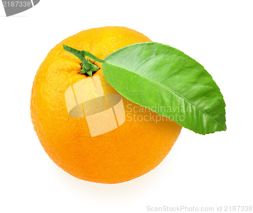 Image of Orange-fruit with green leaf