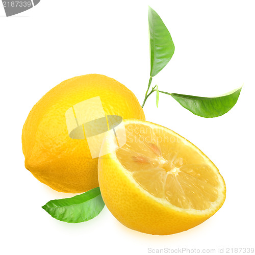 Image of Fresh yellow lemons with green leaf