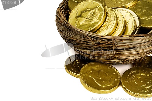 Image of Money nest egg