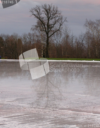 Image of reflectin on ice