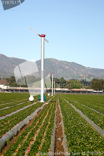 Image of Agricultural Windmills