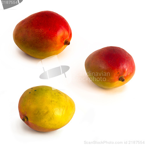 Image of mango fruit isolated on white background