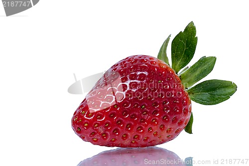 Image of Strawberry