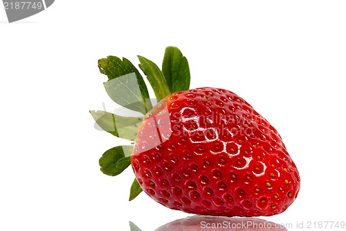 Image of Strawberry