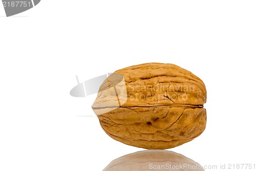 Image of Walnut