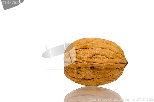 Image of Walnut