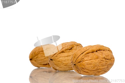 Image of Walnut
