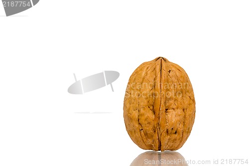 Image of Walnut