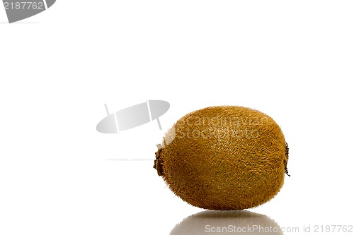 Image of Kiwi