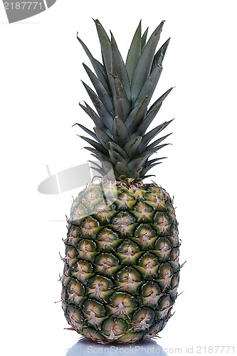 Image of Pineapple