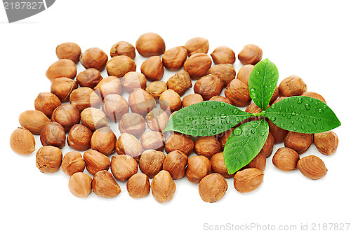 Image of Heap of fresh shelled hazelnuts with green leaves isolated on wh