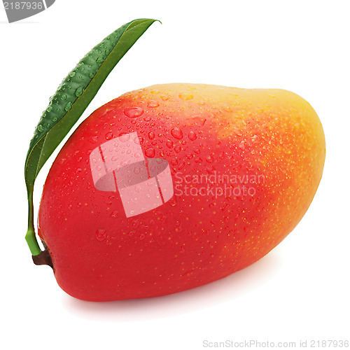 Image of Fresh ripe mango fruit with green leaves isolated on white backg