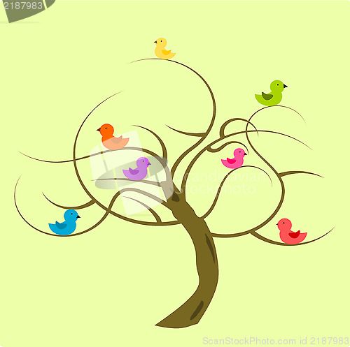 Image of Birds on tree