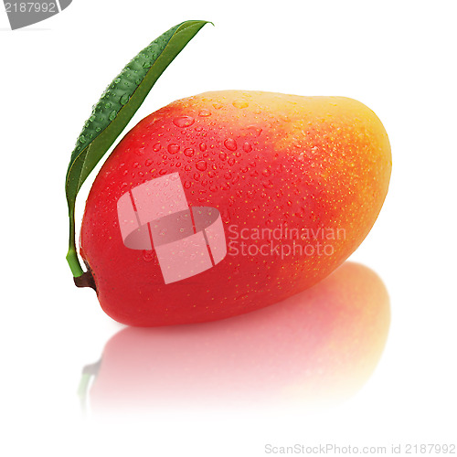 Image of Fresh ripe mango fruit with green leaves isolated on white backg