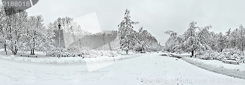 Image of Panoramic view of park