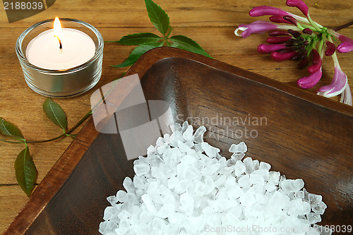 Image of Wooden therapy SPA