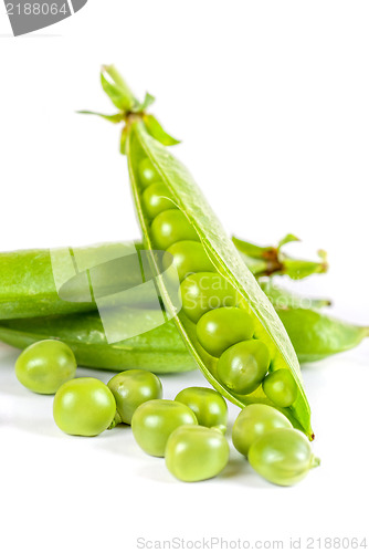 Image of Ripe pea