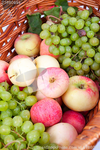 Image of apples and grapes