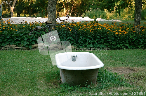 Image of Bath Time on the Farm