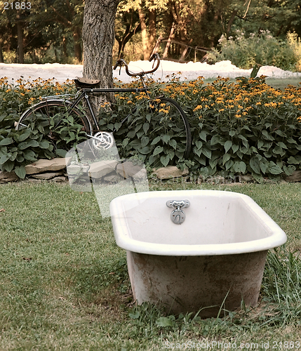 Image of Bath Time on the Farm