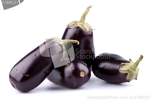 Image of Eggplants or aubergines