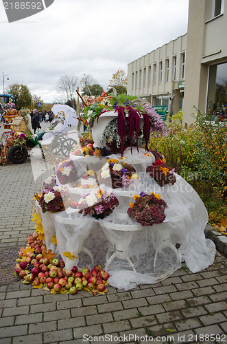 Image of decoration autumn leaf fruit apple married 