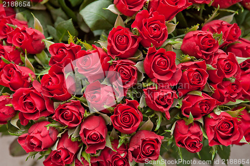 Image of roses background