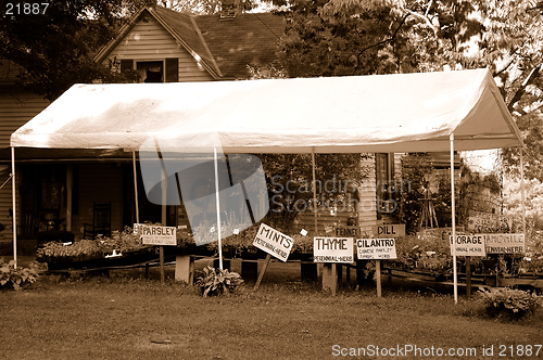 Image of Herb Farm