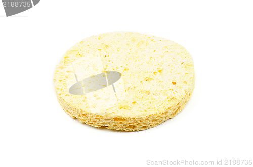 Image of Sponge
