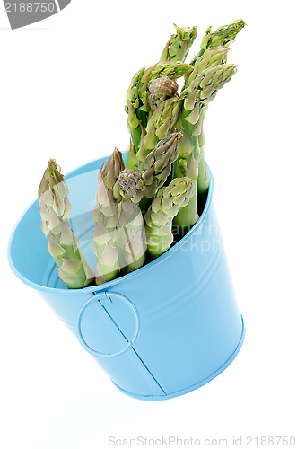 Image of Asparagus in Blue Pot