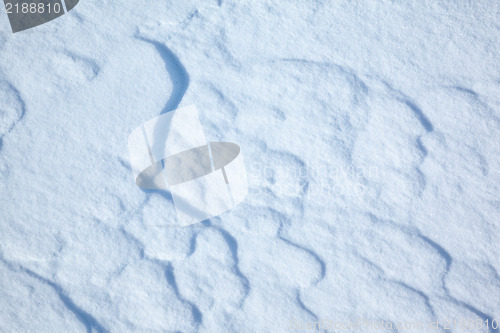 Image of Snow texture 