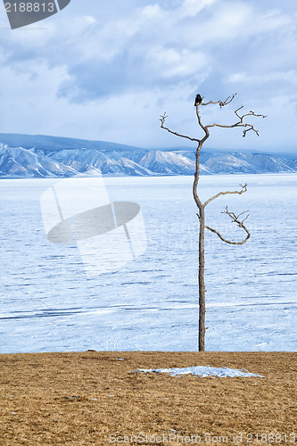 Image of Winter Baikal