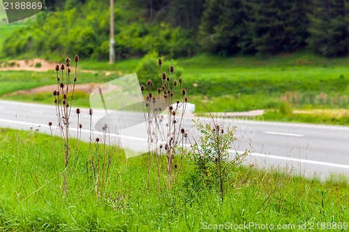 Image of Small road in the mountains