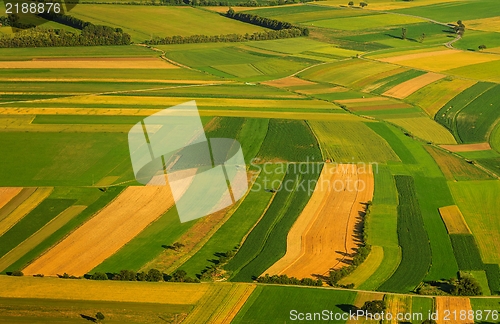 Image of Green fields aerial view before harvest