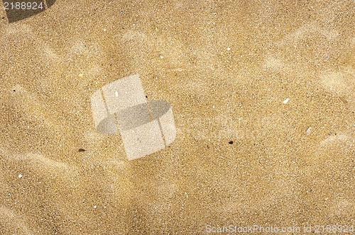Image of Closeup of sand texture