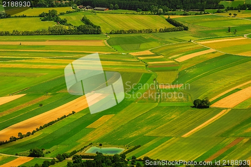 Image of Green fields aerial view before harvest