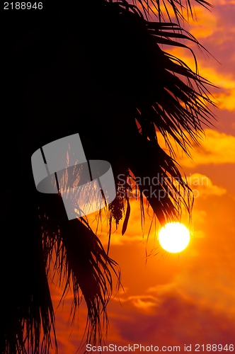 Image of Golden sunset at a mediterranean area