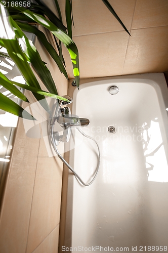 Image of Clean bathtub in summer light