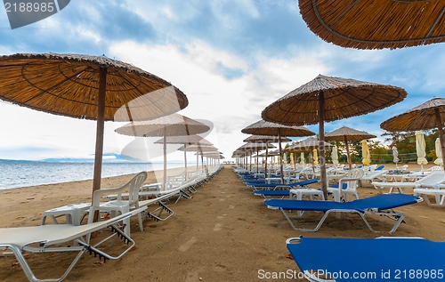 Image of Tropical scene st the beach