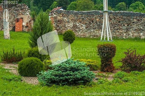 Image of Beautiful park with bushes and plants